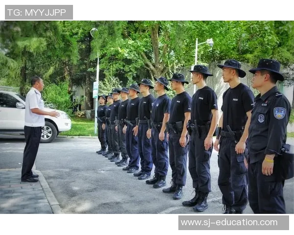 西安飞盘队的成功运营模式与发展策略全解析